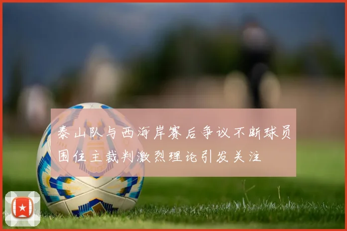 泰山队与西海岸赛后争议不断球员围住主裁判激烈理论引发关注